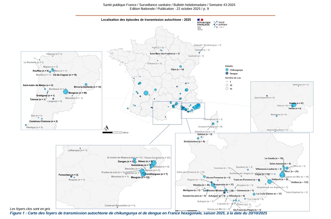 Cas de chikungunya en France métropolitaine depuis le 1er mai 2025