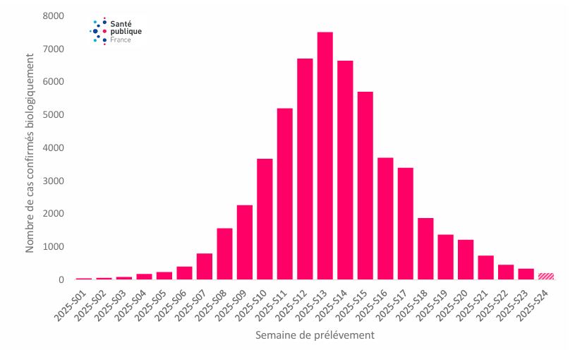 Evolution des cas de chikungunya à La réunion depuis le 1er janvier 2025